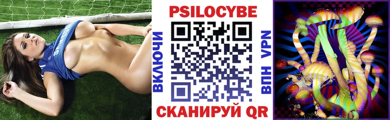 цены   Брянск  Псилоцибиновые грибы GOLDEN TEACHER 
